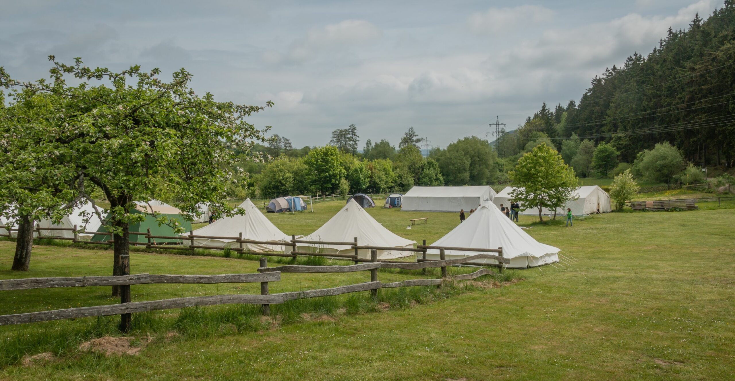 Viele Zelte stehen auf einer Wiese bei einem Zeltlager